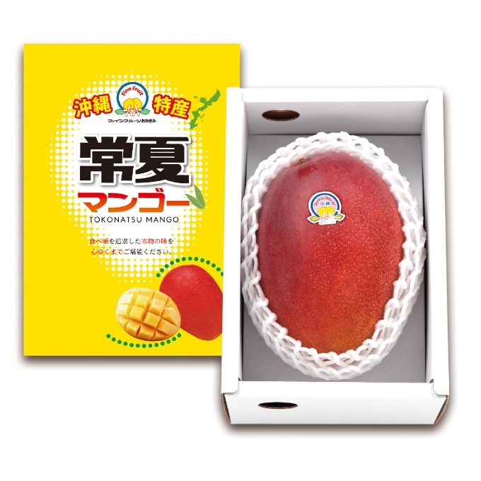 ⑤特選常夏マンゴー 超大玉1個（化粧箱入り）（糖度15度以上）約650g～750g